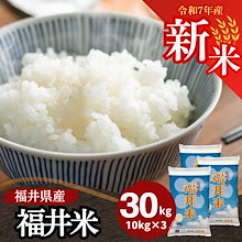 【数量限定】新米 令和7年産 福井県産福井米30kg(10kg3袋) 白米 北陸米処