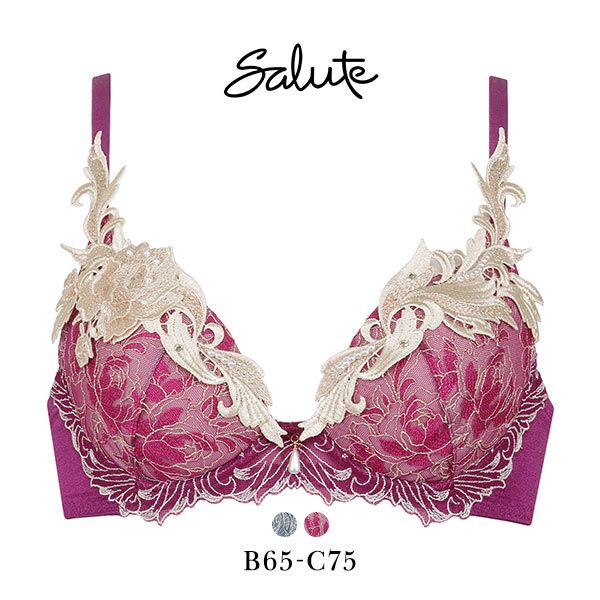 ワコール Wacoal サルート Salute 40周年 94G 23AW BTJ494 VIVA