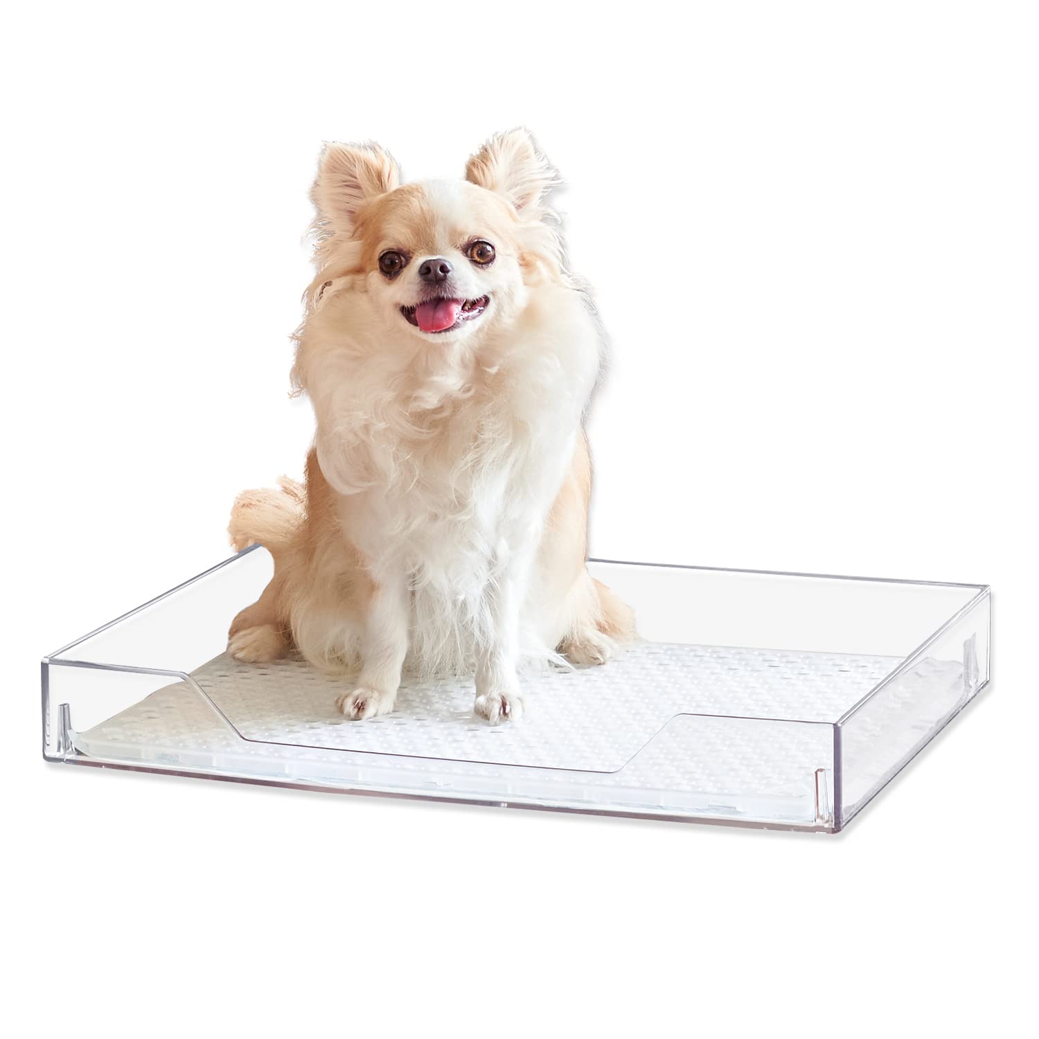 【OFT】 クリアレット 2 S メッシュトレーセット メッシュ丸穴タイプ