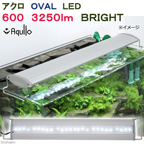 アクロ　ＯＶＡＬ　ＬＥＤ　６００　３２５０ｌｍ　ＢＲＩＧＨＴ　水槽　照明　熱帯魚　アクアリウム　ライト　６０ｃｍ　ＣＲＣ10―15―10―40―10 7,172円