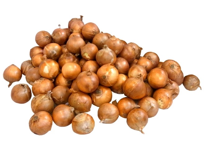 =たまねぎ= 訳あり 約20kg 九州 四国 淡路 北海道 産地厳選 予約 入荷次第発送