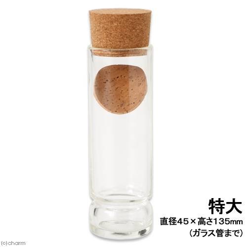 特大型　４．５ｃｍX１３．５ｃｍ　志賀昆虫　殺虫管　標本　採取　昆虫　ＣＲＣ18―79―50―00―00