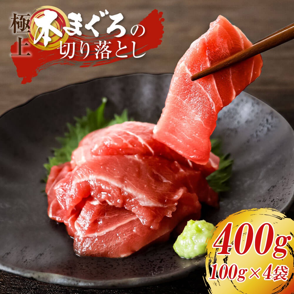 大熊産直 訳あり 本まぐろ 切り落とし 400g 100g×4 赤身 鮪 高級 本マグロ 不揃い 中落ち 中トロ 大トロ 海鮮丼 マグロ丼 刺身 手巻き寿司 ご飯のお供 冷凍便 ヤマト発送
