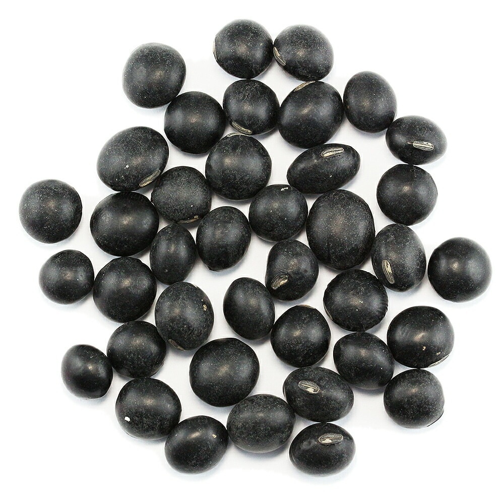 大黒大豆 業務用5Kg （宮城県産）2.8分 乾燥豆 乾物豆類