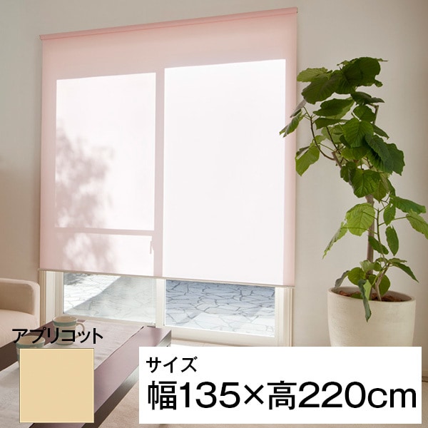 立川機工 ティオリオ ロールスクリーン 無地防炎 135220 アプリコット メーカー直送