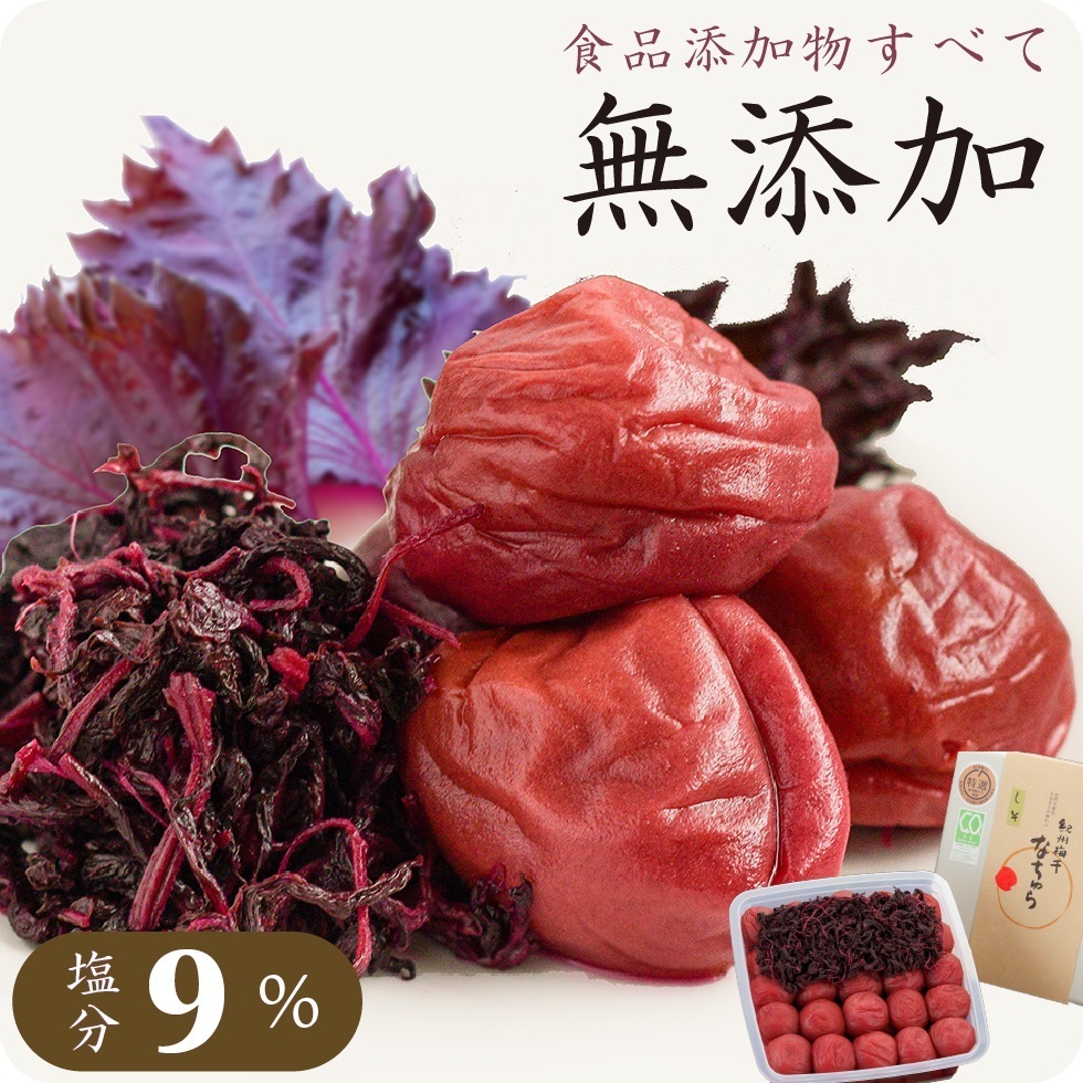 梅干し 無添加 減塩 しそ 昔ながら 南高梅 塩分9% 特選 なちゅら 800g 紀州 しそ梅干し しそ漬け 岩惣