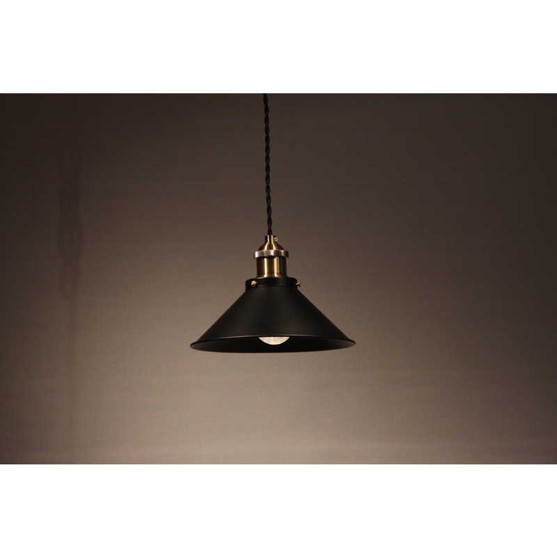 クラシカ　LED照明 ペンダントライト 1灯 電球付属 CLASICA　ART.P17041