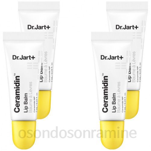 セラマイジンリップフェア4つ