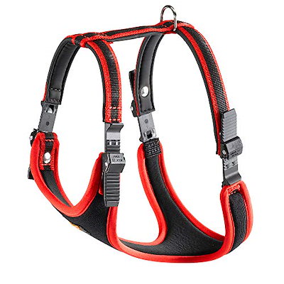 ファープラスト エルゴコンフォート LEASH POCKET MATIC G25/120 犬 りーど リード さんぽグッズ 散歩用品 お出か ファープラスト エルゴコンフォート ハーネス レッド 大型犬用 大型犬