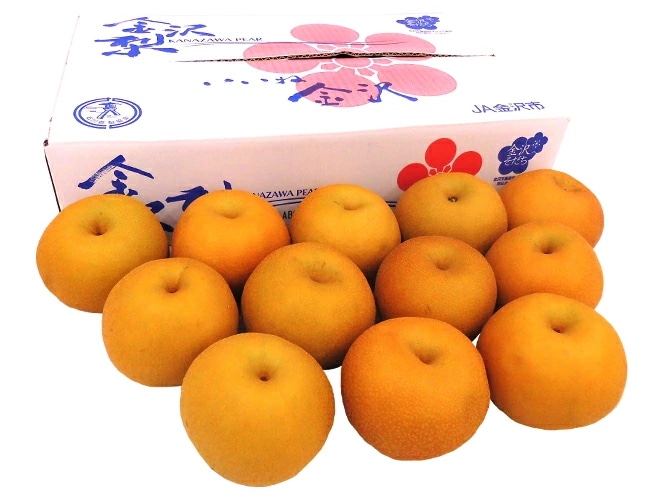 石川県 金沢産 =南水梨= 秀品 10-16玉前後 約5kg 予約 9月以降