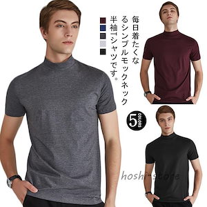 ハイネック tシャツ メンズ 半袖 tシャツ 無地 モックネック インナー カットソー スリム タイト 夏 サマー ハイネックtシャツ ティーシャツ