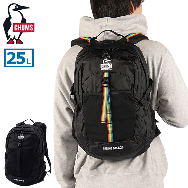 日本正規品 リュック メンズ レディース 通学 大きめ おしゃれ カジュアル 大人 25L A4 B4 トレッキング 登山 アウトドア レインカバー スプリングデール25 CH60-4098