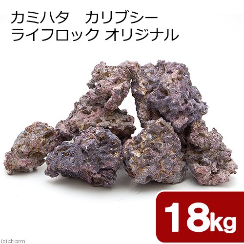 カミハタ　カリブシー　ライフロック　オリジナル　１８．０ｋｇ　バクテリア付き　ＣＲＣ10―35―90―30―00