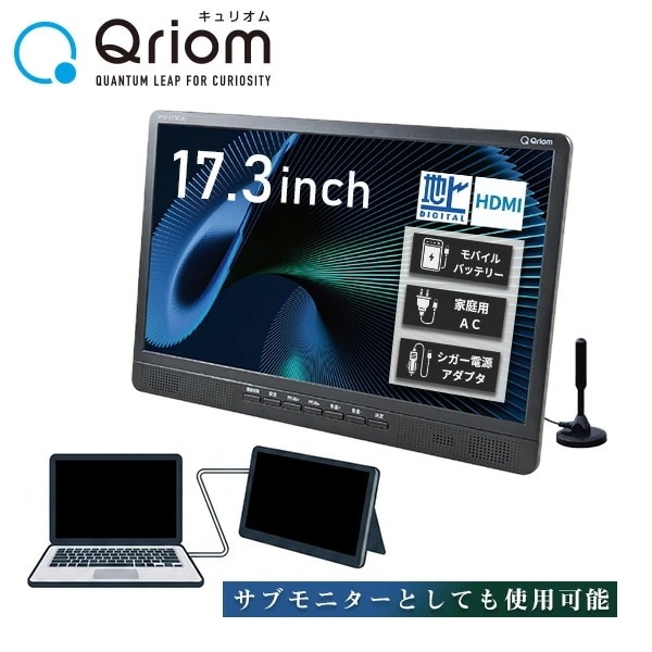 ポータブルテレビ 地上デジタル放送対応 17.3インチ 電源3WAY AC DC モバイルバッテリー mini B-CASカード付属 PTV-173C