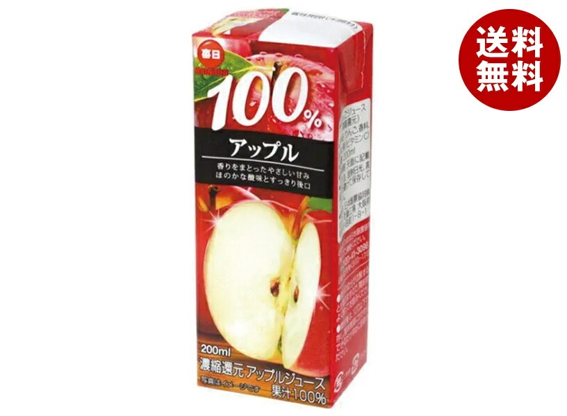 毎日牛乳 毎日 100%アップル 200ml紙パック＊24本入＊(2ケース)