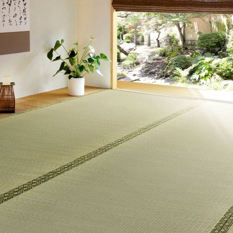 い草カーペット 撥水 畳の上敷き 江戸間 3畳 174x261cm 畳の上に敷くもの ござ 備前 双目織 リバーシブル 防カビ加工