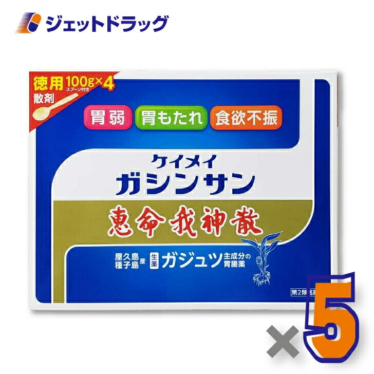 【第2類医薬品】恵命我神散 100g 4袋入 ×5個