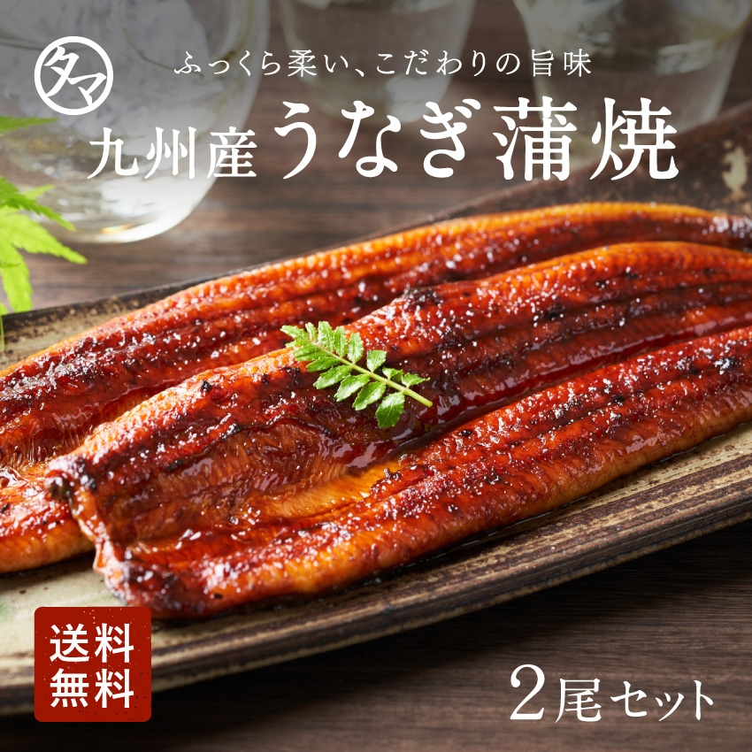 九州産うなぎ蒲焼2尾セット　プロが選ぶ宮崎鹿児島育ちの高級鰻を秘伝のタレでじっくり香ばしく焼き上げました！南九州育ちのスタミナグルメうなぎ！