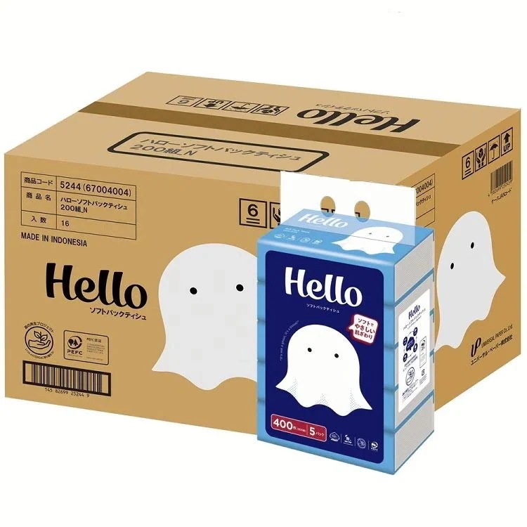 【ケース販売】ティッシュペーパー Hello まとめ買い ハロー ソフトパックティシュ 200組×5個パック×16個 5244-case