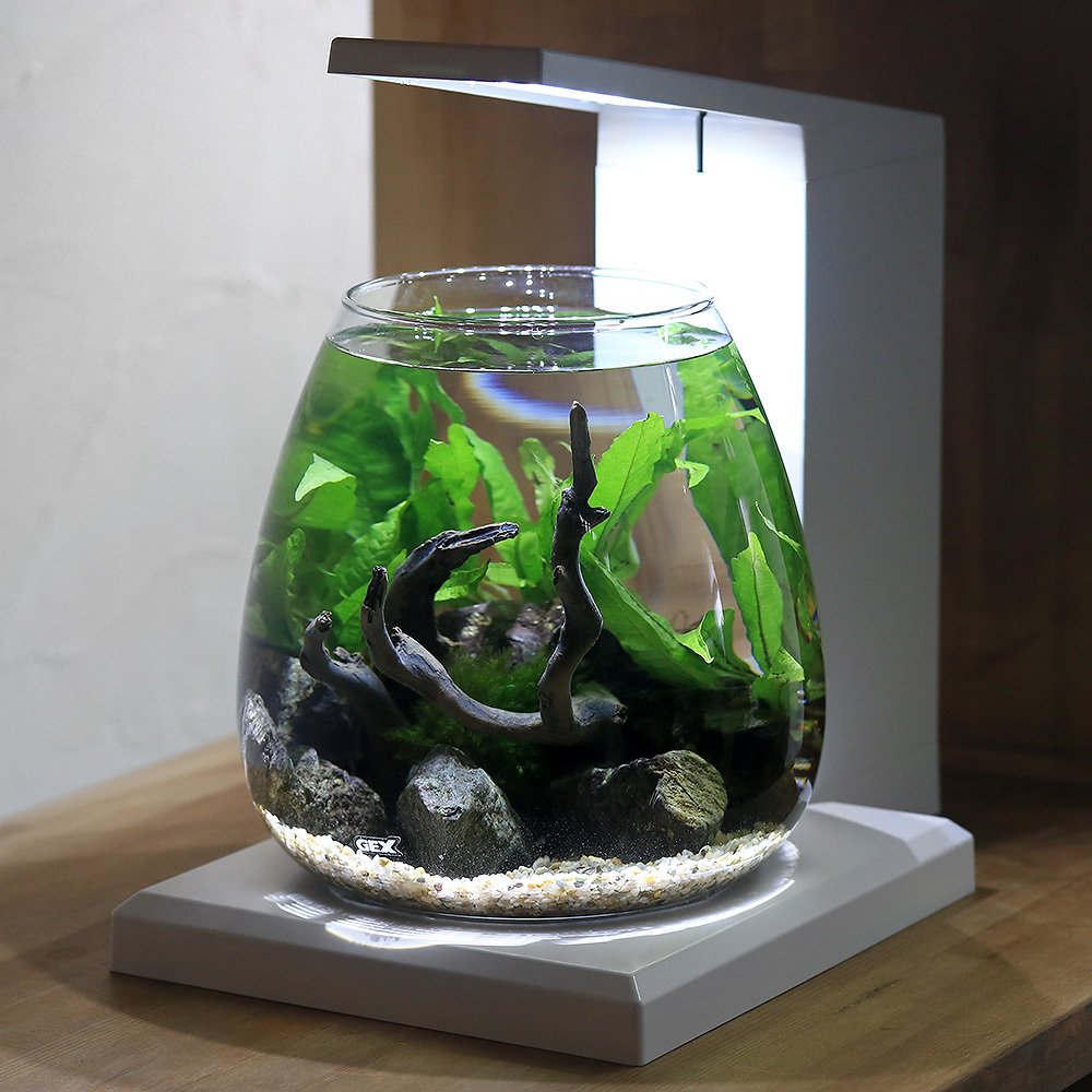 （水草）ＧＥＸ　ＰＥＲＣＯ　ペルコで作る小さな水草の世界　本州四国限定　ＣＲＣ10―11―03―10―40