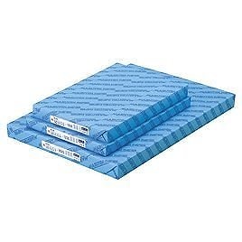 （まとめ買い）ゴークラ 雪だるま画学紙 8切 #95 200枚 Y-9582 00405846 [x3] 6,244円