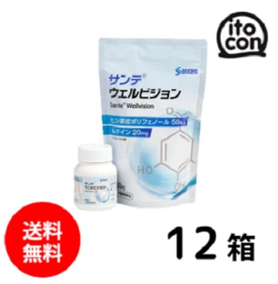 サンテ ウェルビジョン 12個