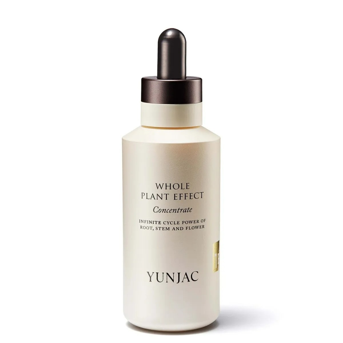 【韓国人気】「お得な特大容量」WHOLE PLANT EFFECT CONCENTRATE 120mL 全草コンセントレート 栄養たっぷり 美容液 アンプール セラム「正規品」