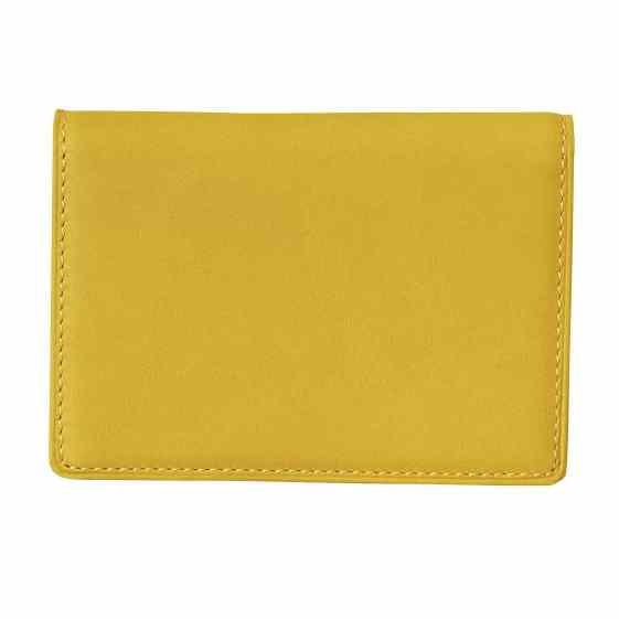 MIZUNO ミズノ 定期入れ スムース 野球 アクセサリー ユニセックス 男女兼用 1GJYG0060047