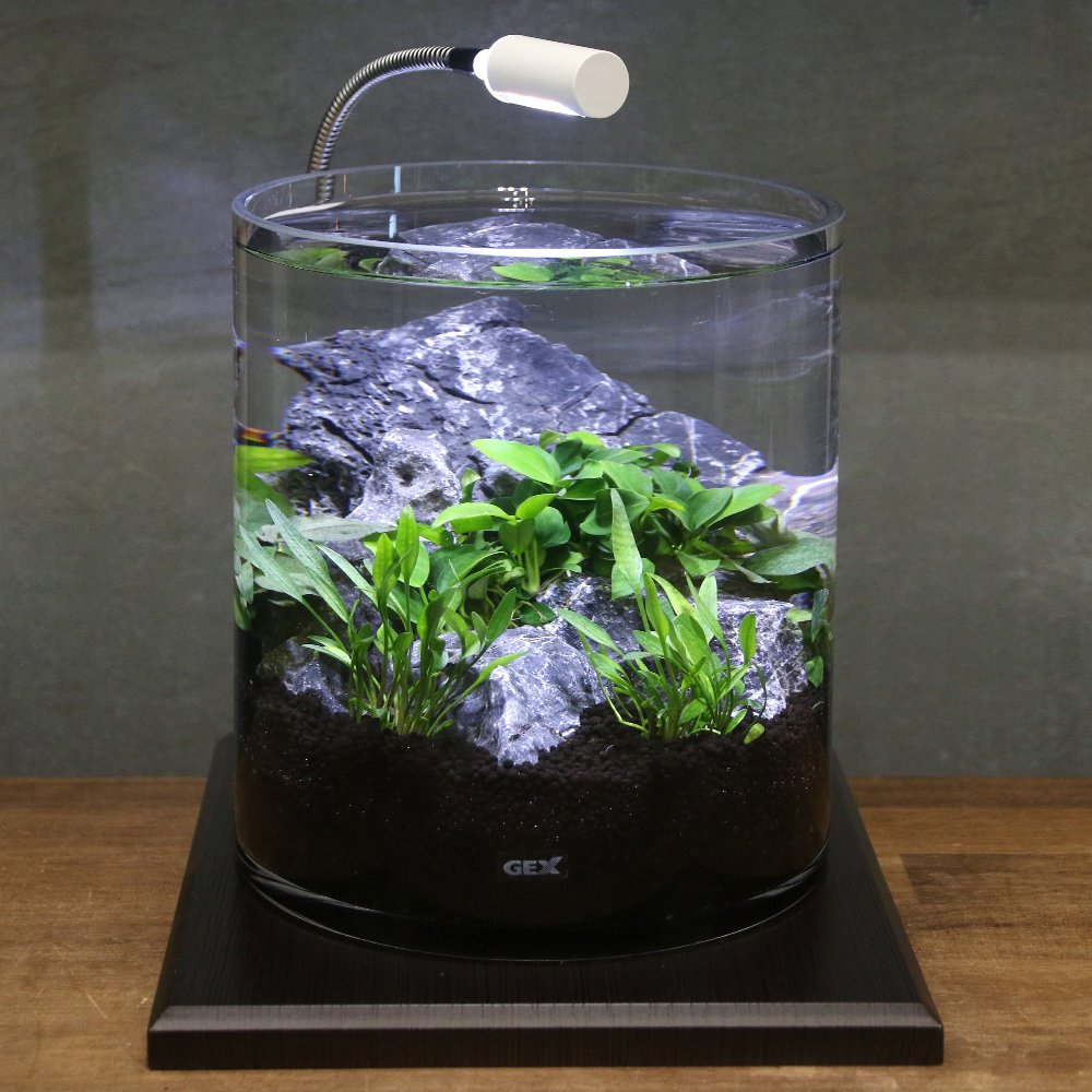 （水草）ＧＥＸ　グラスアクア　シリンダー　Ｎ　水草セット　グラスベース　エボニー２００　本州四国限定　ＣＲＣ10―11―03―10―40