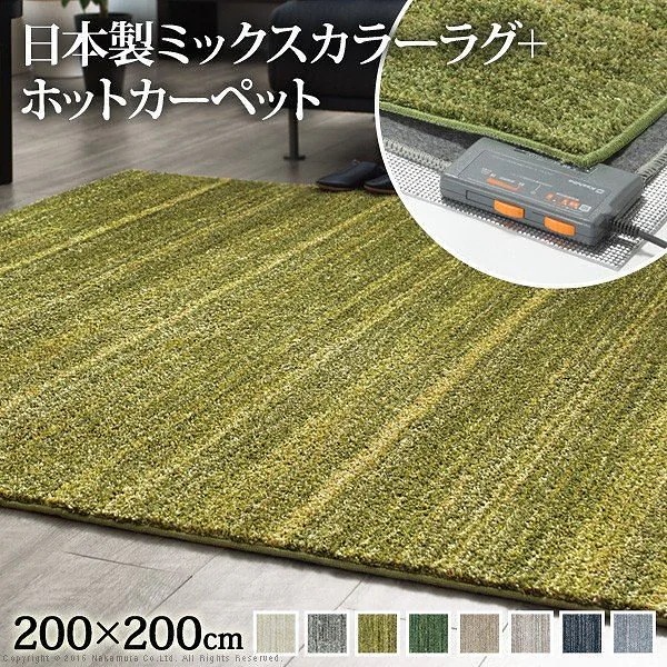 ホットカーペット カバー ミックスカラーホットカーペットカバー-ルーナ 2畳 200x200cm ホットカーペット本体セット 洗える