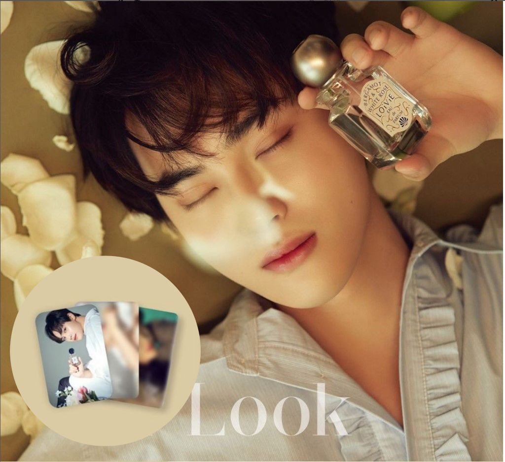 Qoo10] LOiViE : オーデパフューム(50ml) THE B : 香水