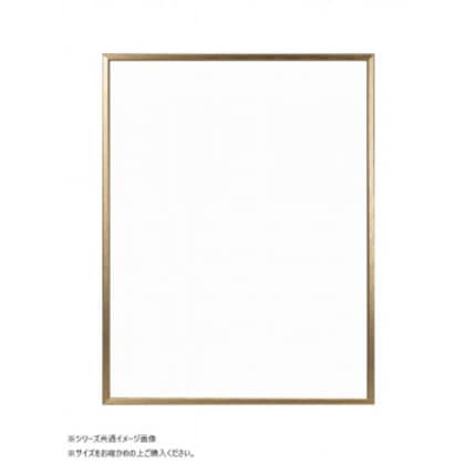 大額 OA額 ラインフレーム(5017) B2 ゴールド