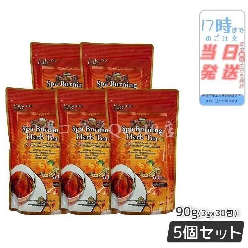 【5個セット】 エステプロラボ スパ バーニング ハーブティー プロ 3g30 代謝系 健康茶 Esthe Pro Labo