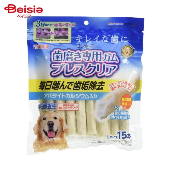 TCY S̎pK uXNA Ap^CgJVE L 15{