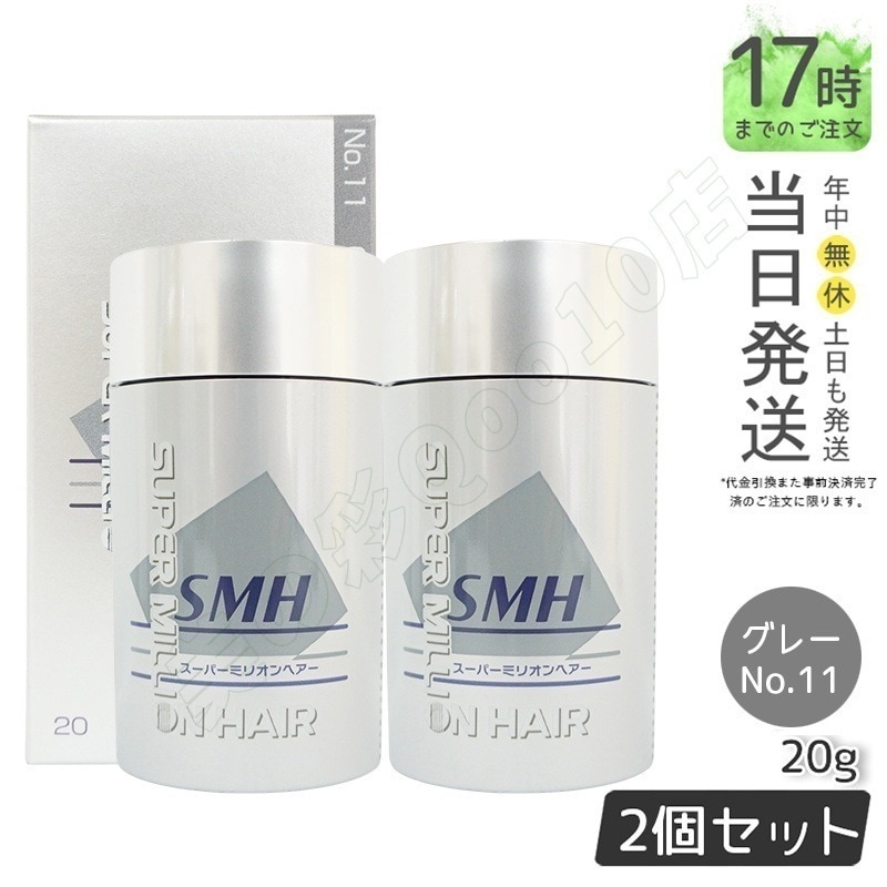 【2個セット】ルアン スーパーミリオンヘアー 20g No.11 グレー 髪 頭 薄毛隠し 薄毛 分け目 つむじ ボリューム 男性 女性 白髪かくし