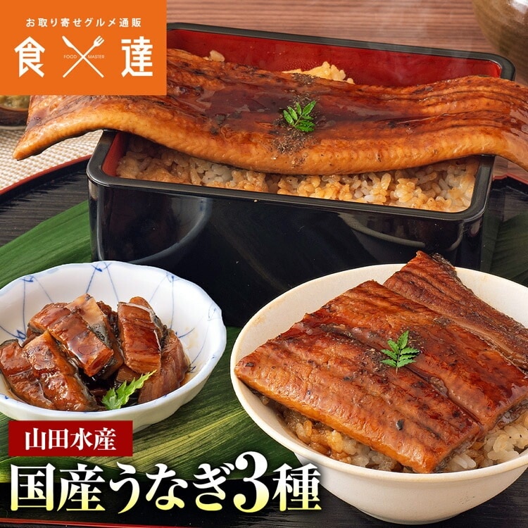 うなぎ 鹿児島県産 3種セット 長焼き 刻み カット 食べ比べ 合計320g 鰻 ウナギ 国産 無投薬 指定日不可