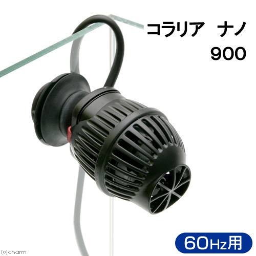 コラリア ナノ 900 60Hz(西日本用) サーキュレーター 海水魚 サンゴ 水流 ウェーブポンプ 水流ポンプ CRC10―35―65―20―10