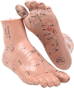 レインボー療法マニュアル2010➕テープ２２シート➕手のツボ模型 Qoo10] 足つぼ 模型 足つぼマッサージ 体系的に