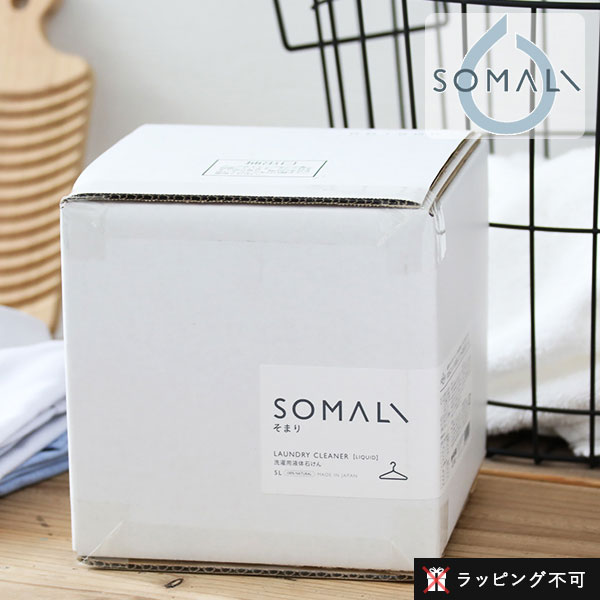木村石鹸 SOMALI 洗濯用液体石けん 5000ml 詰替用 敏感肌 洗濯石鹸 洗濯洗剤 洗濯 洗剤 赤ちゃん 子ども 肌着 液体 オレンジ ふ