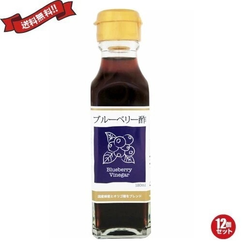 お酢 ドリンク 飲む ブルーベリー酢 120ml TAC21 12個セット