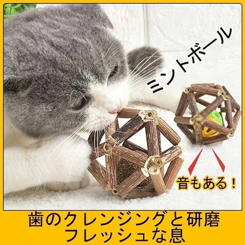 Qoo10限定猫の歯が生える棒 Mutian Polygonum ミントボール 猫のおもちゃ 自己啓発 退屈を解消する工芸品 ペット用品 歯をきれいにする棒 Linglongボール