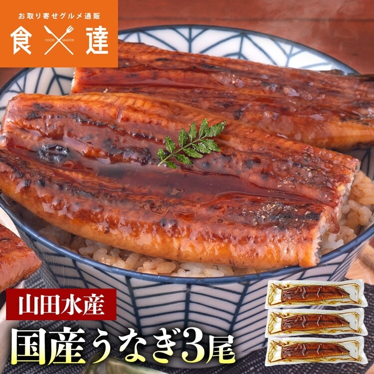うなぎ 鹿児島県産 3尾 125gx3 国産 蒲焼き 長焼き 無投薬 焼き上げ 無頭 3本 指定日不可