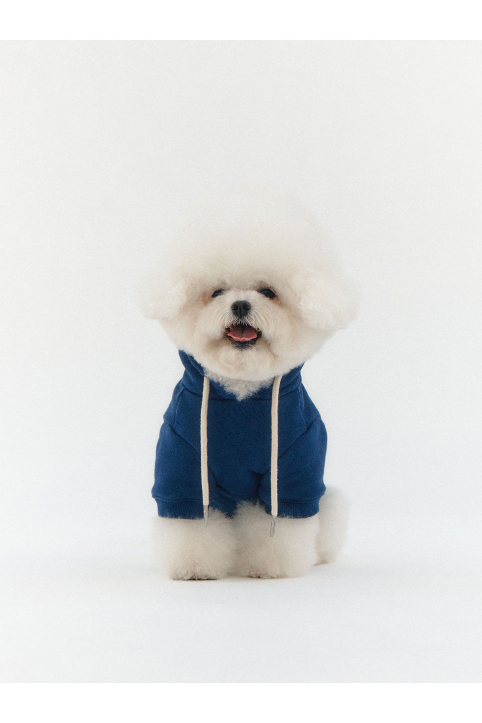 【EMIS】 [PET] NEW LOGO BIG HOODIE : 4COLOR
