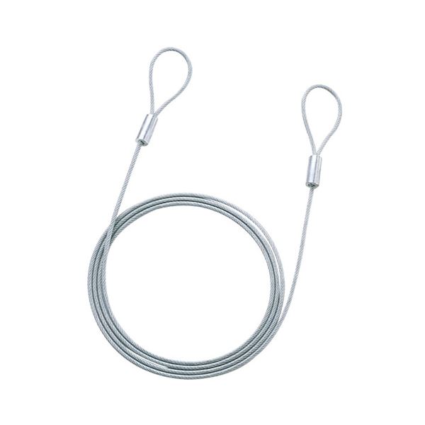 (まとめ)サンワサプライ eセキュリティ(ワイヤー2.0m・3.5mm) SLE-1W-2(×10セット)