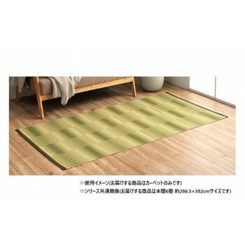 日本製 洗えるカーペット グリーン 本間6畳 約286.5x382cm 1090580121902