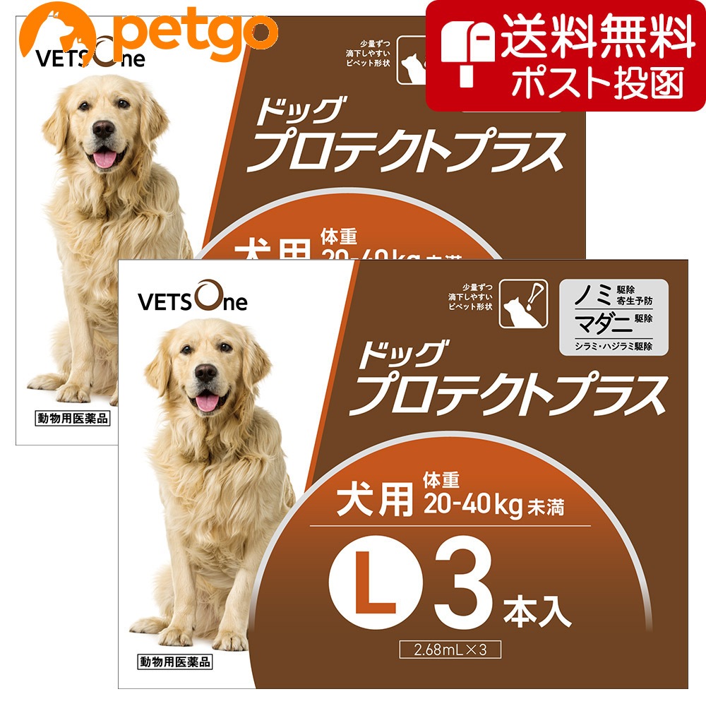 【ネコポス(同梱不可)】【2箱セット】ベッツワン ドッグプロテクトプラス 犬用 L 3本 (動物用医薬品)