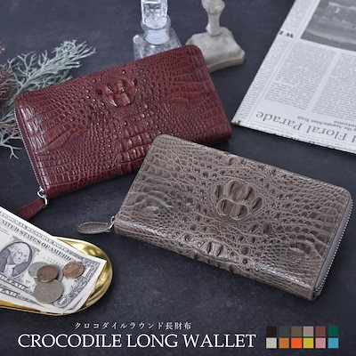 Aglaonema pictum GW1908 プレリュード アグラオネマ TB 【公式通販】