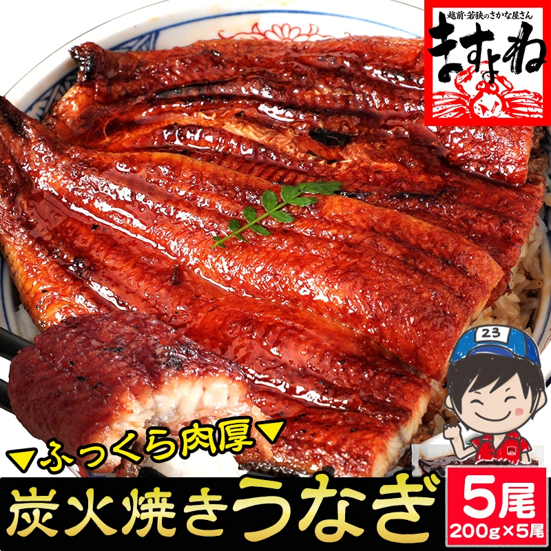【メガ割りセール中】本格 炭火焼き わが家のうなぎ蒲焼 200g×5尾 計1kg タレ+山椒付 ISO認証 HACCP管理 中国産 【ギフトのし対応】