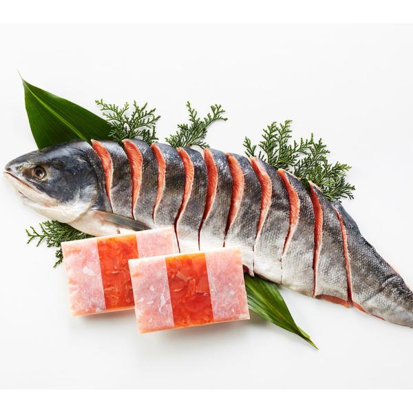 北海道産 新巻鮭 鮭といくらのルイベ漬セット B 切身半身 700g ルイベ漬 100gx2 SISK 5,897円