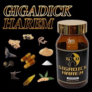 GIGADICK HAREM ギガディックハーレム/サプリメント 男性 健康 メンズ